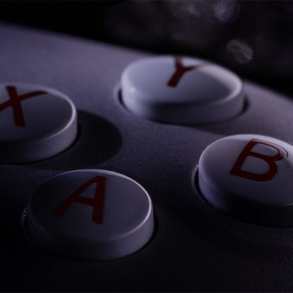 8BitDo Ultimate 2 Wireless Controller (Honkai: Star Rail - Evernight) - Wireless Game Controller