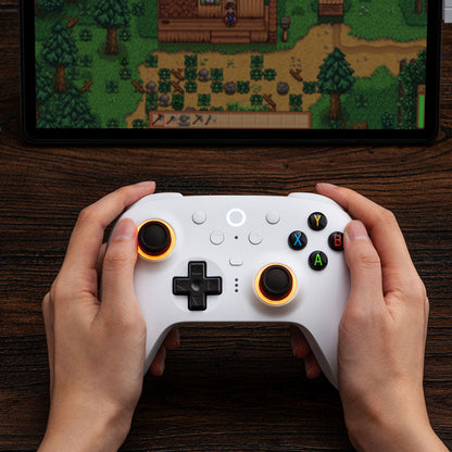 8BitDo Ultimate 2 Wireless Controller - Wireless Game Controller